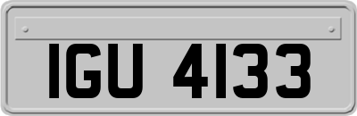 IGU4133