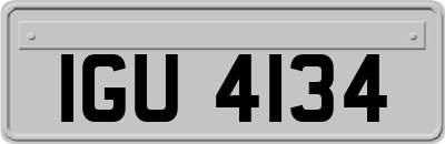 IGU4134