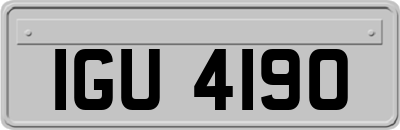 IGU4190