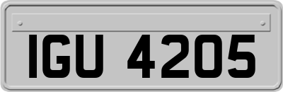 IGU4205