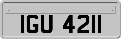 IGU4211