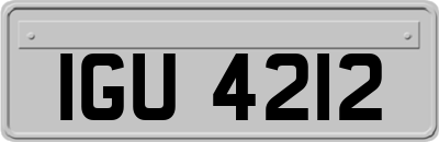IGU4212