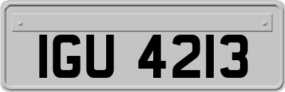 IGU4213