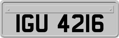 IGU4216