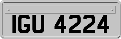 IGU4224