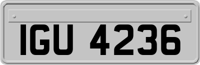 IGU4236