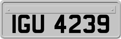 IGU4239