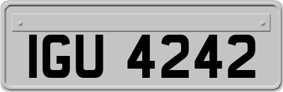 IGU4242