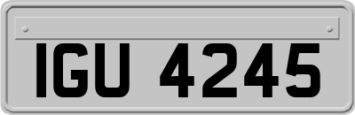 IGU4245