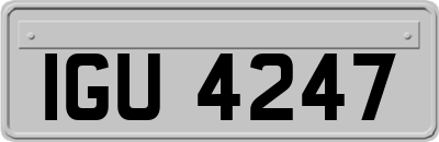 IGU4247
