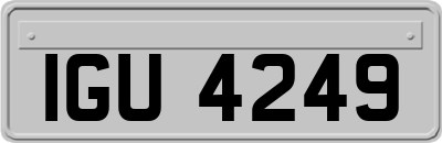 IGU4249