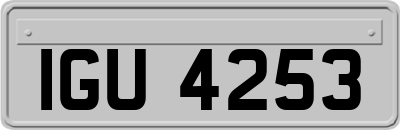 IGU4253