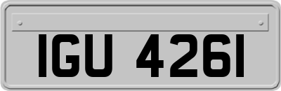 IGU4261