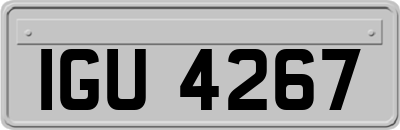 IGU4267