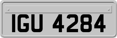 IGU4284