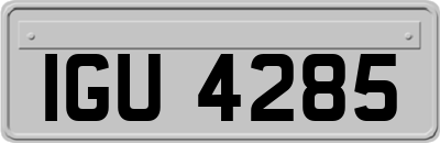 IGU4285