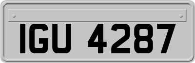 IGU4287