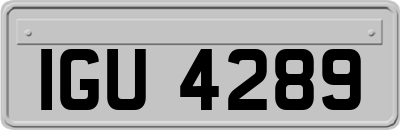 IGU4289