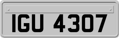 IGU4307
