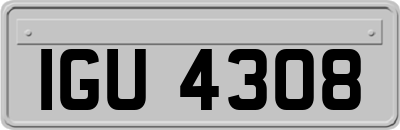 IGU4308