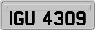 IGU4309