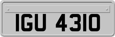IGU4310