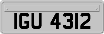 IGU4312