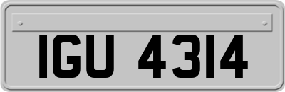 IGU4314