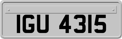 IGU4315