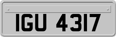 IGU4317