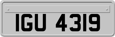IGU4319