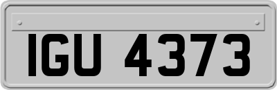 IGU4373
