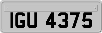IGU4375