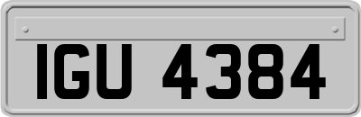 IGU4384