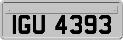 IGU4393