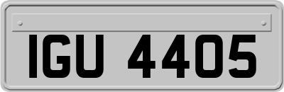 IGU4405