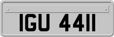 IGU4411