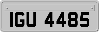 IGU4485