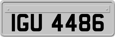 IGU4486