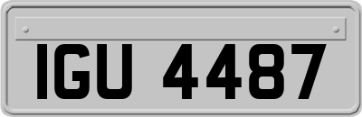IGU4487