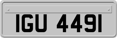 IGU4491