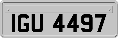 IGU4497