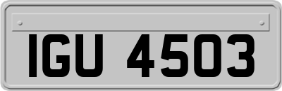 IGU4503