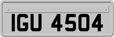 IGU4504