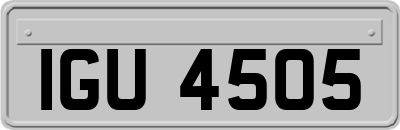 IGU4505