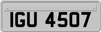 IGU4507