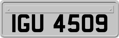IGU4509