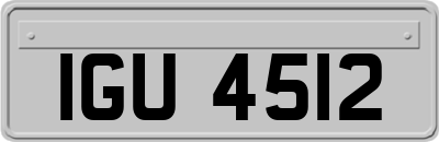 IGU4512