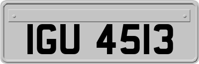 IGU4513