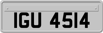 IGU4514